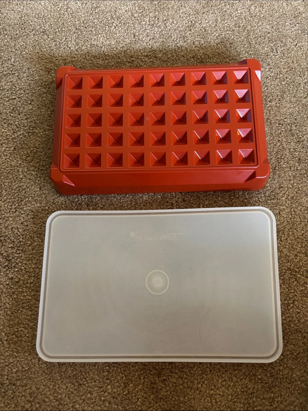 Tupperware Marinade with Frosted Lid